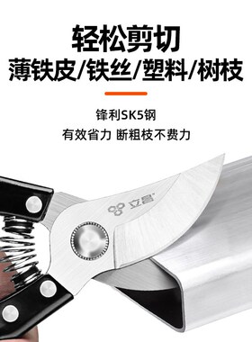 修剪树枝剪刀修枝剪果树剪花艺剪树枝专用剪刀修枝剪树枝园艺剪刀