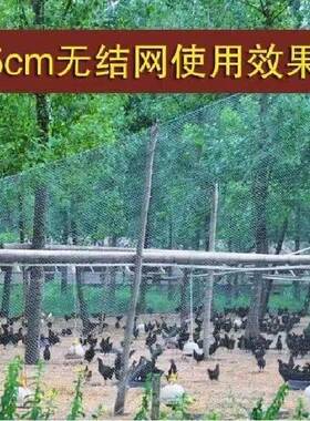 惠果园围栏防鸟网养鸡网家禽养殖网樱桃树网塑胶网果树防鸟网核桃