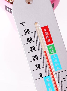 室内温度计家用精准温湿度计高精度婴儿房壁挂式干湿度大棚温度计