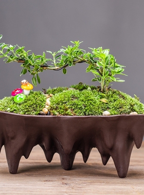 发财树家居装饰品办公客t厅茶几绿萝文竹陶瓷花盆招财创意桌面摆