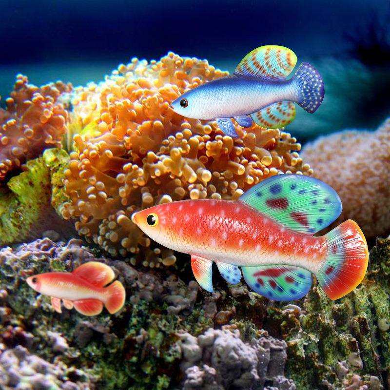 仿真热带鱼海洋动物 家居饰品 摆件装饰立体户外雕塑摆设厂家热销,淘宝优惠券,粉丝福利购,淘宝优惠卷