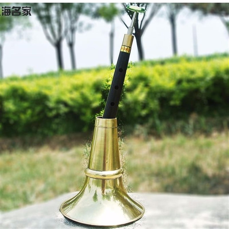 唢呐乐器全乌木直杆9寸平均孔不定调二喇叭大中小号民间吹奏乐器 - 图2
