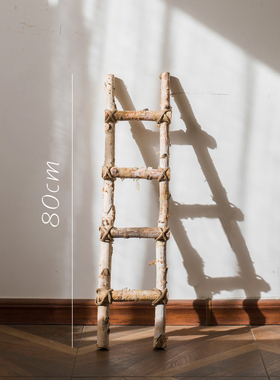 白桦木梯子落地装饰摆件幼儿w园环创花园庭院园艺花艺橱窗拍摄道