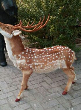 动物模型 仿真梅花鹿真皮毛圣诞鹿 舞台摄影道具场所装饰摆件