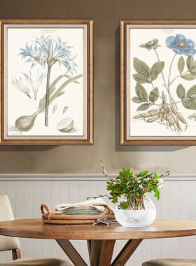 餐厅装饰画两联画美式壁画欧式挂画餐边柜清新品绿植高颜值床头画