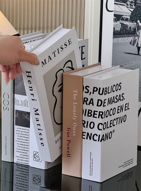 假书仿真书ins家居办公室摆设书籍道具现代简约背景布置装饰摆件