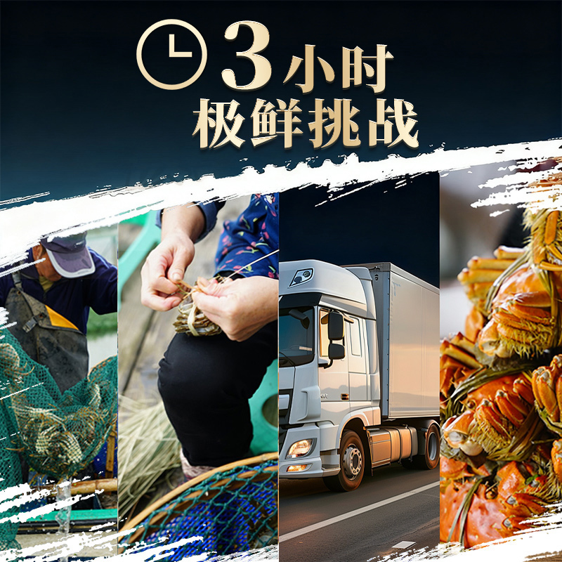 【活蟹】蟹如愿阳澄湖大闸蟹 可全母送礼盒礼物鲜活螃蟹源头直发 - 图2