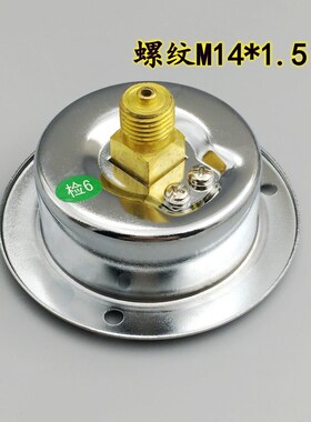 红旗Y60ZT轴向带边压力表真空水压气压油压液压面板式嵌入背接