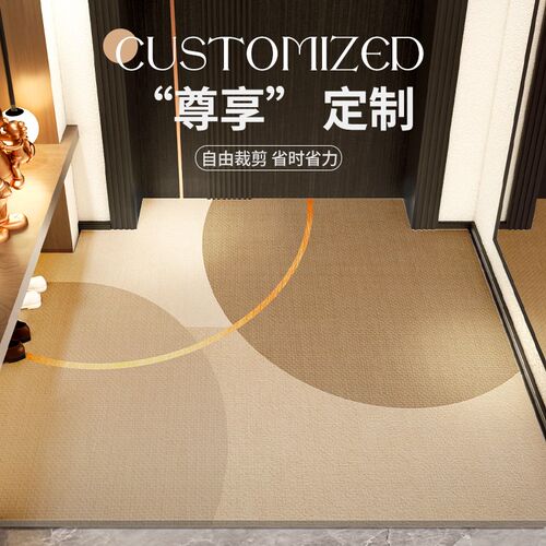 高级感入户d门地垫门口耐脏脚垫门垫进门玄关地毯PVC可擦免洗裁剪 - 图1