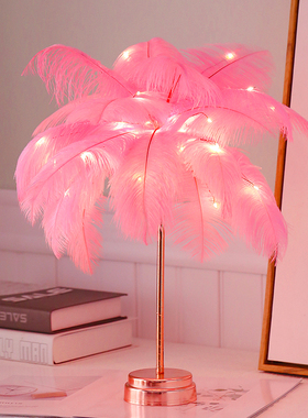 北欧少女卧室床头灯温馨小t台灯浪漫创意羽毛灯结婚婚房网红灯装