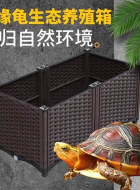 黄缘龟专用箱黄缘龟饲养缸黄缘龟饲养环境黄缘龟养殖箱闭壳安缘台