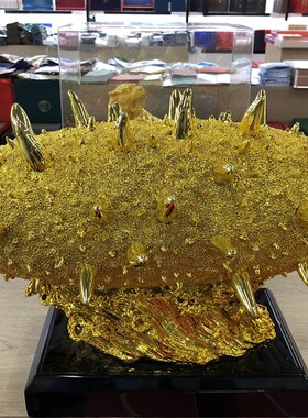 特价50公分海参模型海参仿真模型海参仿真大模型海参摆件假海参