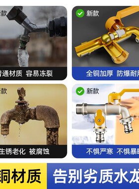 4分户外自来水大流量全铜加厚防冻水龙头一进二双出水室外龙头