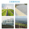 Agricultural film thickened mulch film Qinghtian drip-free film greenhouse special film plastic po transparent 24 meters wide white agricultural film