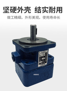 液压YB1叶片泵油泵YB1-6 YB1-10/16/4/20/25/40/50/80/100单双联