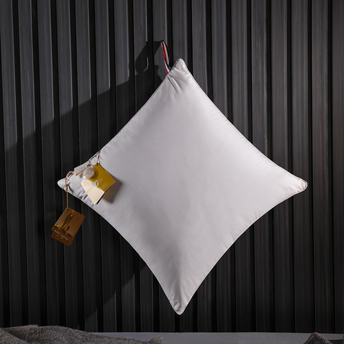 靠背枕床头羽绒靠垫抱枕芯客厅沙发靠枕芯95白鹅绒办公室卧室腰靠 - 图2