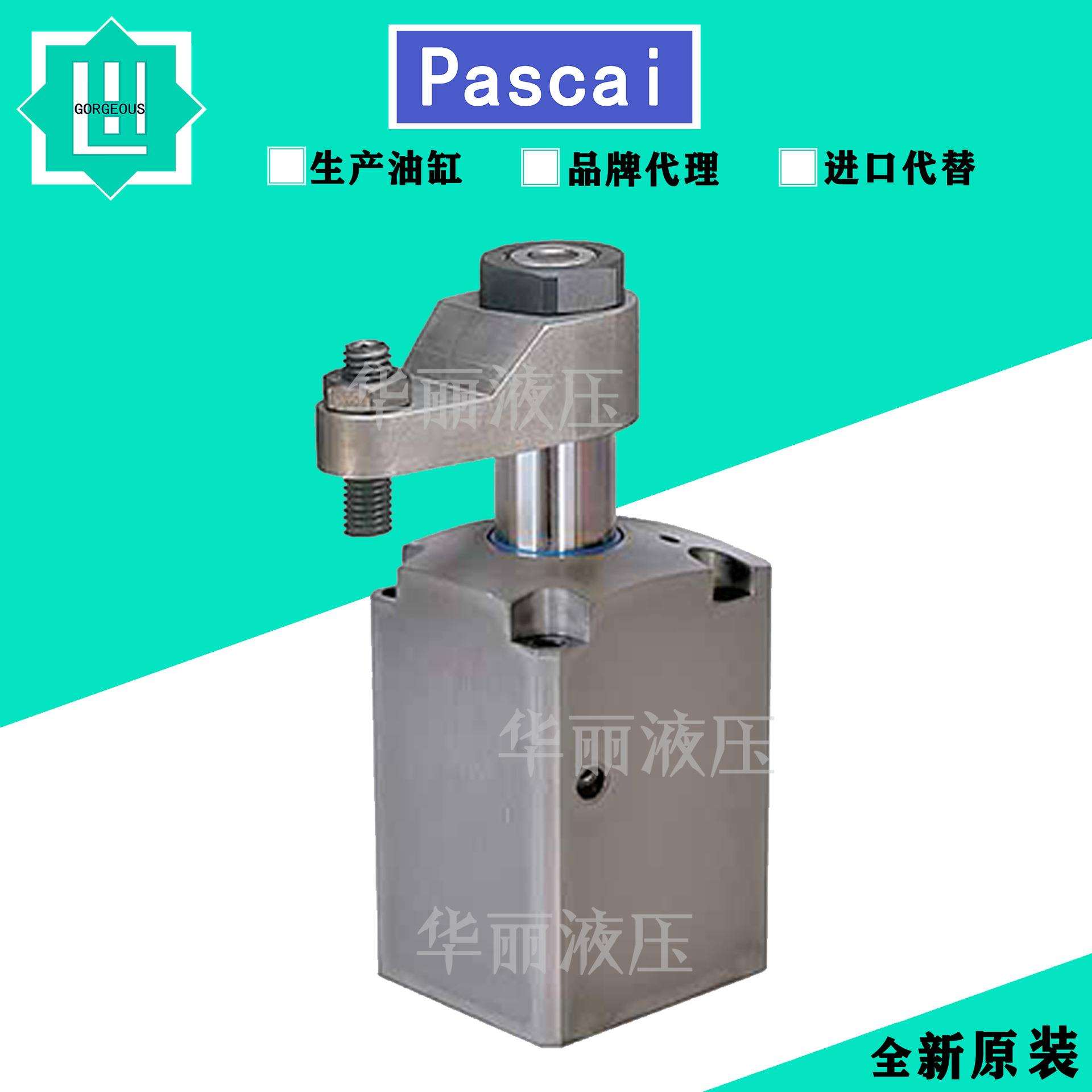 Pascal帕斯卡旋转夹紧油缸 CTT06-RN60工装夹具杠杆缸CTU06-REN45 - 图2