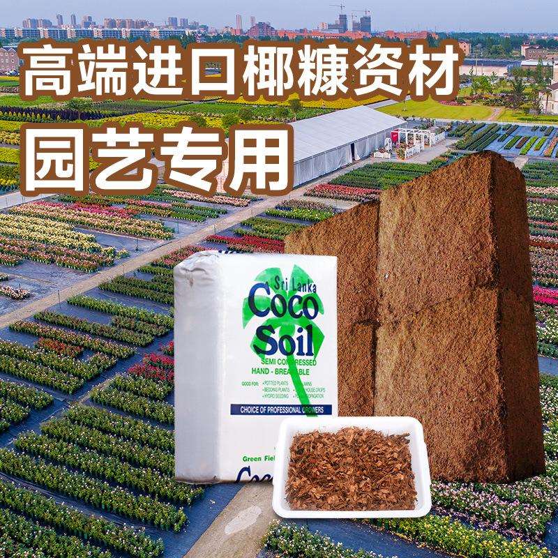 进口斯里兰卡种植绿化育苗基质蓝莓营养土免泡发微压缩装椰糠 - 图1