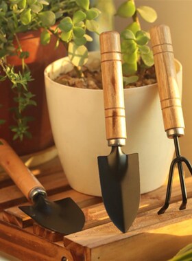 园艺工具三件套装养花种花工具多肉种植盆栽小铁铲子铁锹