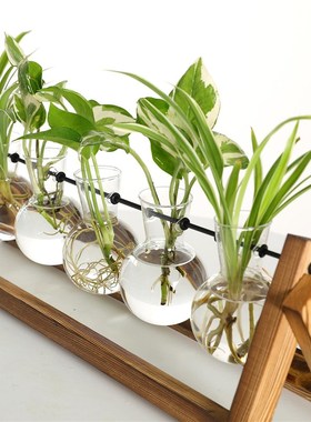 创意玻璃水培小花瓶绿萝透明小清新水养植物桌面装饰摆件客厅插花