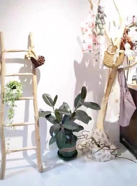 实木干树枝民宿装饰木梯原木复古摆件梯形置物架创意拍照道具梯子