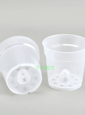 蝴蝶兰透明硬杯 石斛卡特兰兜兰洋兰沥水透气控根育苗塑料硬壳杯