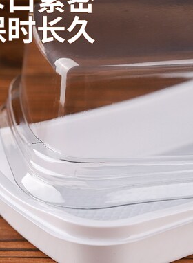流心泡芙盒子雪媚娘肉松小贝包装盒烘焙西点塑料透明甜品打包盒子