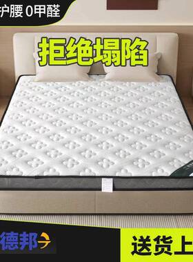 天然椰棕床垫家用环保1.5护脊乳胶儿童棕垫棕榈榻榻米盯作垫子
