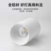 High-visibility LED downlight, long barrel, glare-free, anti-opening ceiling, Nordic cob living room, bedroom aisle