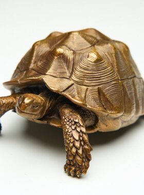 苏卡达陆龟模型摆件拳匠造 青系列第铁五弹 铜乌龟博物志 茶宠