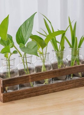 水培植物木架家居办m公室桌面水养植物插花摆件大开口木框玻璃花