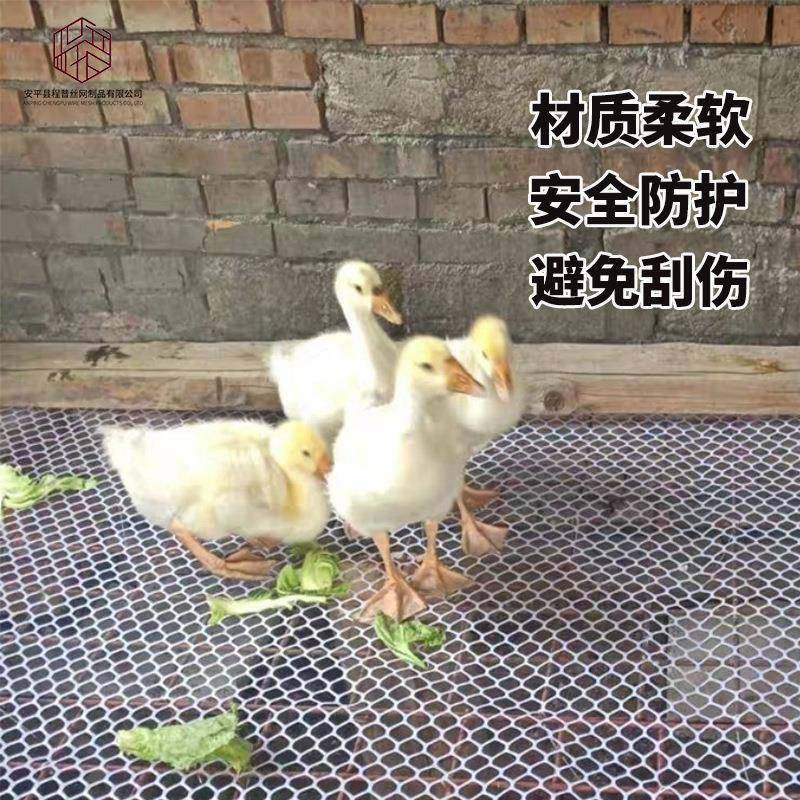 现货加厚鸡鸭育雏脚垫防卡脚网格漏粪网水产养殖网塑料网格塑料网,淘宝优惠券,粉丝福利购,淘宝优惠卷