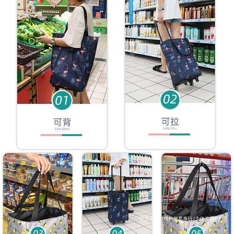 网红可伸缩保鲜便携折叠购物买菜家用拖车轻便拉杆行李小推车,淘宝优惠券,粉丝福利购,淘宝优惠卷