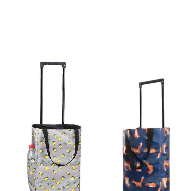 网红可伸缩保鲜便携折叠购物买菜家用拖车轻便拉杆行李小推车,淘宝优惠券,粉丝福利购,淘宝优惠卷