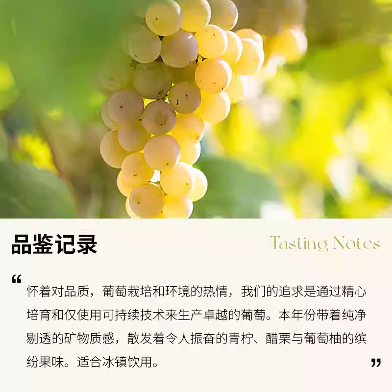 新西兰马尔堡斯坦露长相思干白葡萄酒原瓶进口三次CWSA金奖获得者 - 图0