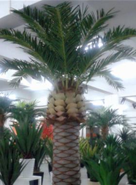 仿真海藻树图片海藻树价格室内外海藻树人造海藻树直销