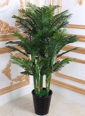 假树树室内装饰葵树盆栽大型绿植客厅室内花落地植物假椰子树