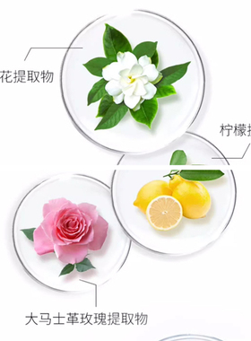 黛珂定妆蜜粉20g持妆控油散粉