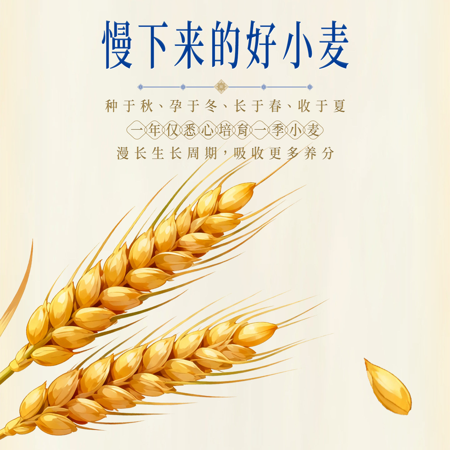 新疆面粉麦芯雪花粉中筋高筋面粉多用途5kg包饺子小麦粉家用10斤,淘宝优惠券,粉丝福利购,淘宝优惠卷