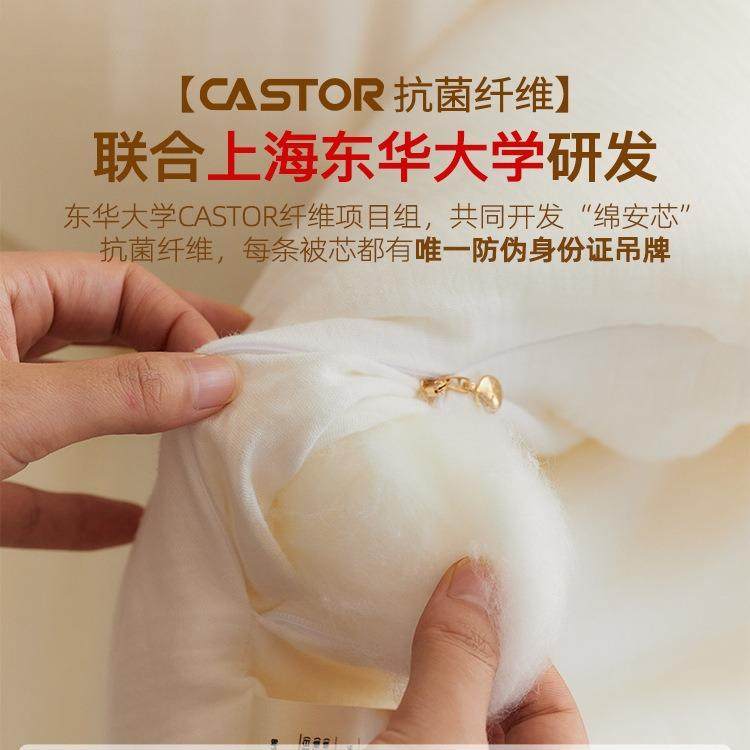 全棉a类母婴级20%蚕丝纤维被芯纯棉双层纱被子春秋被加厚子母冬被,淘宝优惠券,粉丝福利购,淘宝优惠卷