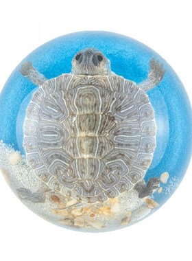 真昆虫热带鱼夜光乌龟螃蟹半圆摆件文创市集博物馆热卖树脂品