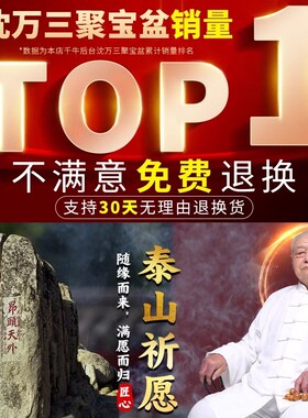 聚宝盆摆件沈万三同款招财聚财黄铜米缸铜碗铜盆客厅办公室装饰品