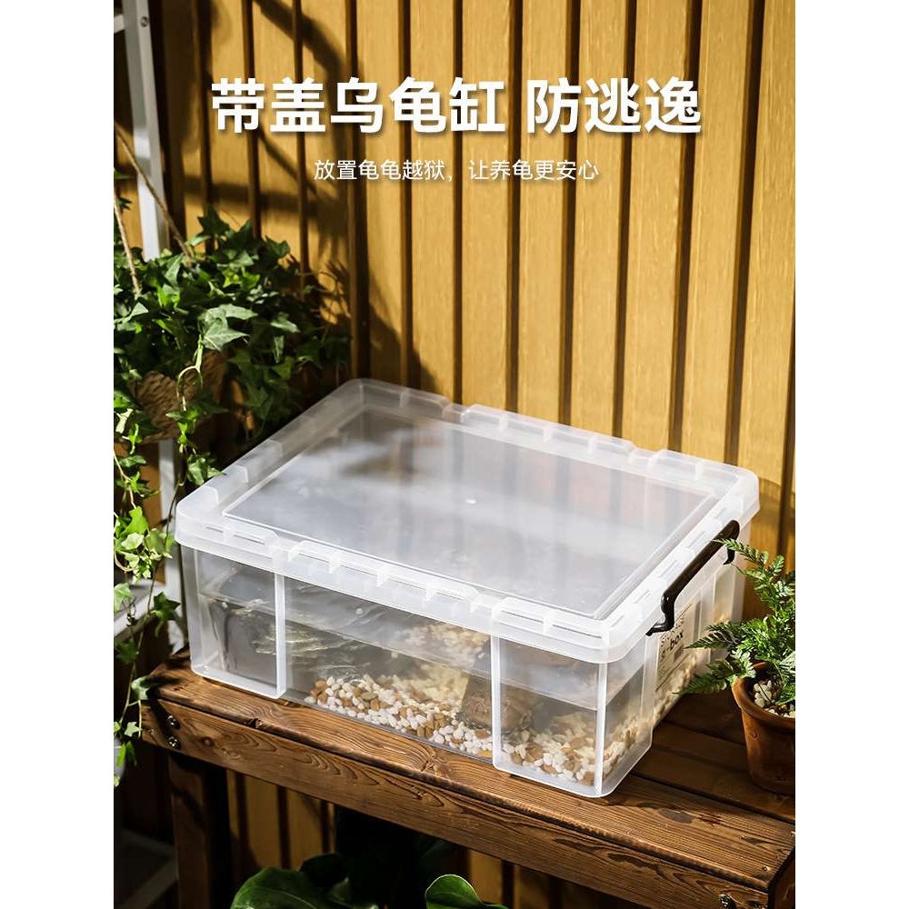 乌龟周转箱家用过滤造景塑料养龟缸透明生态箱亚克力生物养殖箱子 - 图1