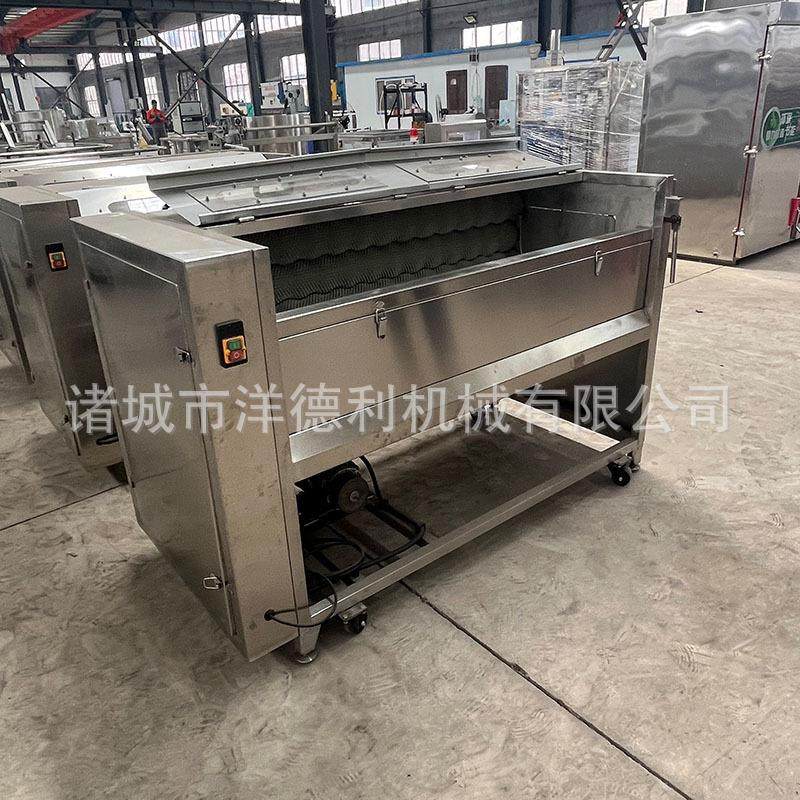供应鲜花生清洗去泥机蔓菁清洗去皮机根茎类莲藕去泥毛辊清洗机,淘宝优惠券,粉丝福利购,淘宝优惠卷