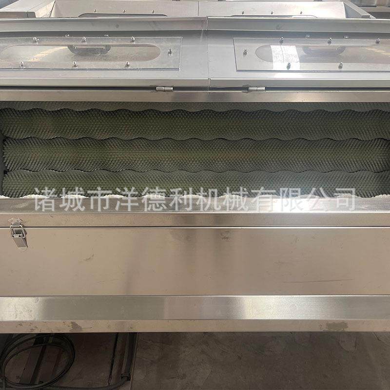 供应鲜花生清洗去泥机蔓菁清洗去皮机根茎类莲藕去泥毛辊清洗机,淘宝优惠券,粉丝福利购,淘宝优惠卷
