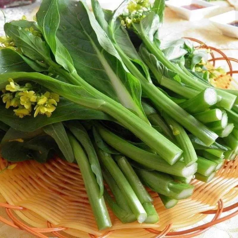 广东四九菜心种子红菜苔白菜苔四季蔬菜种籽孑增城迟青菜秋季菜籽,淘宝优惠券,粉丝福利购,淘宝优惠卷