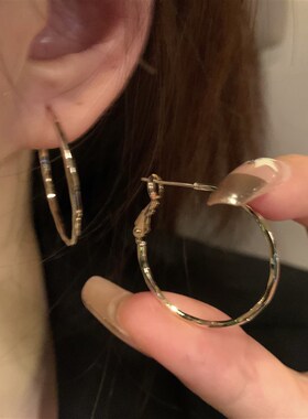 细闪~简约精致圆圈耳圈女高级感轻奢耳饰小众设计感气质独特耳环