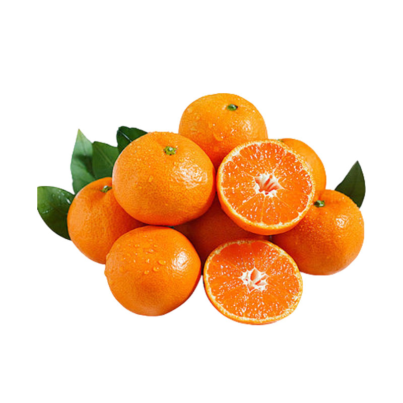 【顺丰包邮|坏果包赔】新余蜜桔5斤装小橘子蜜橘桔子新鲜水果当季