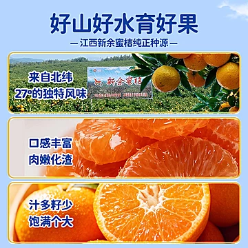 【顺丰包邮坏果包赔】新余蜜桔5斤装[8元优惠券]-寻折猪