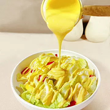 红房子美乃滋蛋黄沙拉酱640g[2元优惠券]-寻折猪